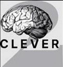 2CLEVER