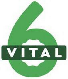 VITAL 6