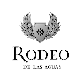 RODEO DE LAS AGUAS