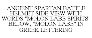 ANCIENT SPARTAN BATTLE HELMET SIDE VIEW WITH WORDS "MOLON LABE SPIRITS" BELOW, "MOLON LABE" IN GREEK LETTERING