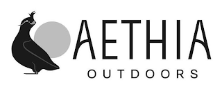 AETHIA OUTDOORS