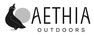 AETHIA OUTDOORS