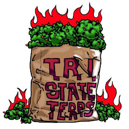 TRI STATE TERPS