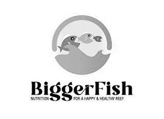 BIGGER FISH NUTRITION FOR A HAPPY & HEALTHY REEF