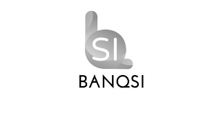 LSI BANQSI