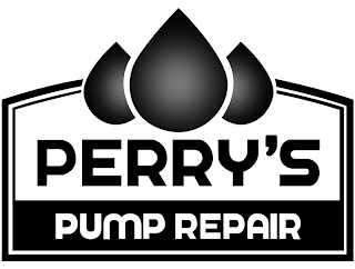 PERRY'S PUMP REPAIR