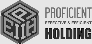 PEIIH PROFICIENT EFFECTIVE & EFFICIENT HOLDING