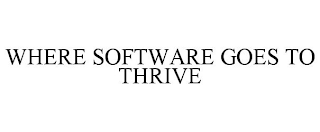 WHERE SOFTWARE GOES TO THRIVE