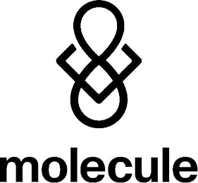 MOLECULE