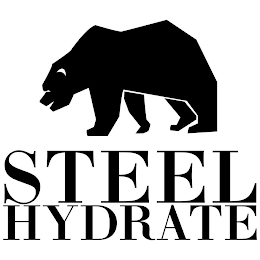 STEEL HYDRATE