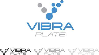 V VIBRA PLATE