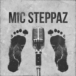MIC STEPPAZ