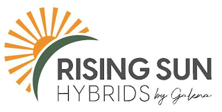 RISING SUN HYBRIDS BY GALENA