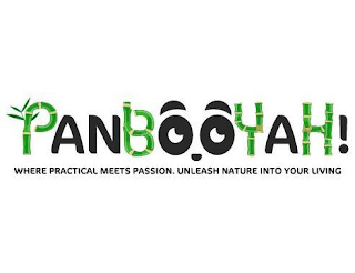 PANBOOYAH! WHERE PRACTICAL MEETS PASSION. UNLEASH NATURE INTO YOUR LIVING