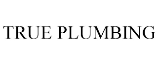 TRUE PLUMBING