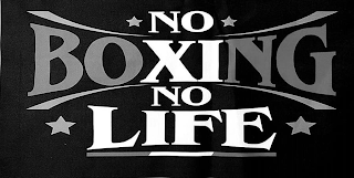 NO BOXING NO LIFE