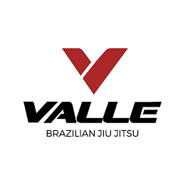 VALLE BRAZILLIAN JIU JITSU