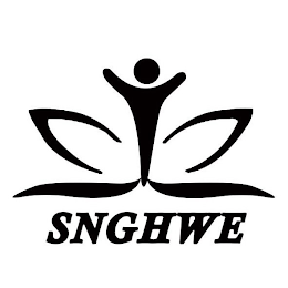 SNGHWE