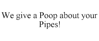 WE GIVE A POOP ABOUT YOUR PIPES!