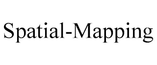 SPATIAL-MAPPING