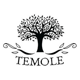 TEMOLE