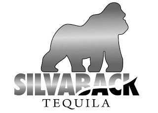 SILVABACK TEQUILA