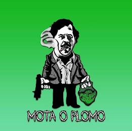 MOTA O PLOMO