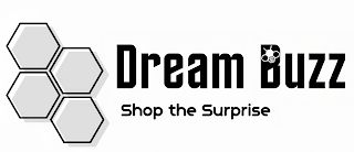 DREAM BUZZ SHOP THE SURPRISE