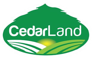 CEDARLAND