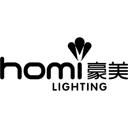 HOMI LIGHTING