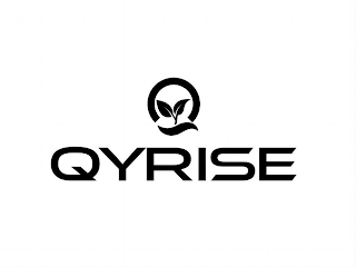 QYRISE