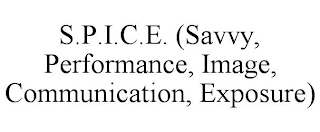 S.P.I.C.E. (SAVVY, PERFORMANCE, IMAGE, COMMUNICATION, EXPOSURE)