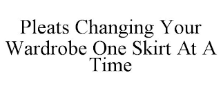 PLEATS CHANGING YOUR WARDROBE ONE SKIRT AT A TIME