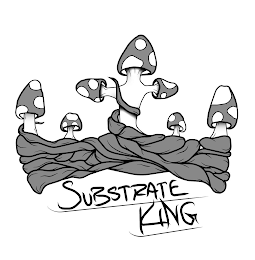 SUBSTRATE KING