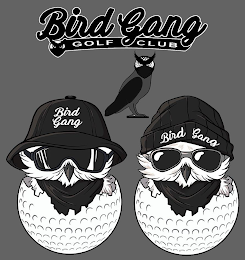 BIRD GANG GOLF CLUB BIRD GANG BIRD GANG