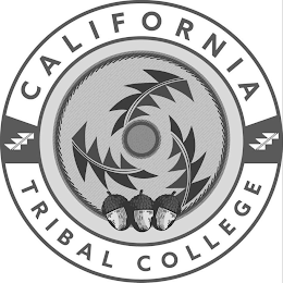 CALIFORNIA TRIBAL COLLEGE