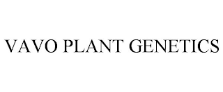 VAVO PLANT GENETICS