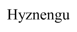 HYZNENGU