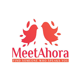 MEETAHORA FIND SOMEONE WHO SPEAKS YOU