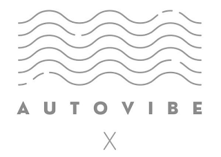 AUTOVIBE X