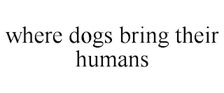 WHERE DOGS BRING THEIR HUMANS