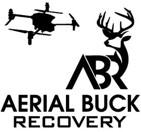 ABR AERIAL BUCK RECOVERY