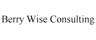 BERRY WISE CONSULTING