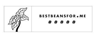 BESTBEANSFOR.ME