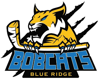 BLUE RIDGE BOBCATS