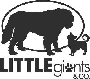 LITTLE GIANTS & CO.