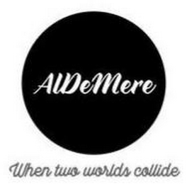 ALDEMERE WHEN TWO WORLDS COLLIDE