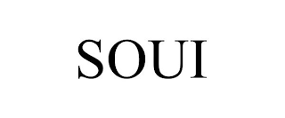 SOUI