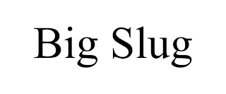 BIG SLUG