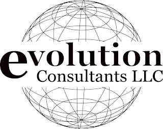 EVOLUTION CONSULTANTS LLC